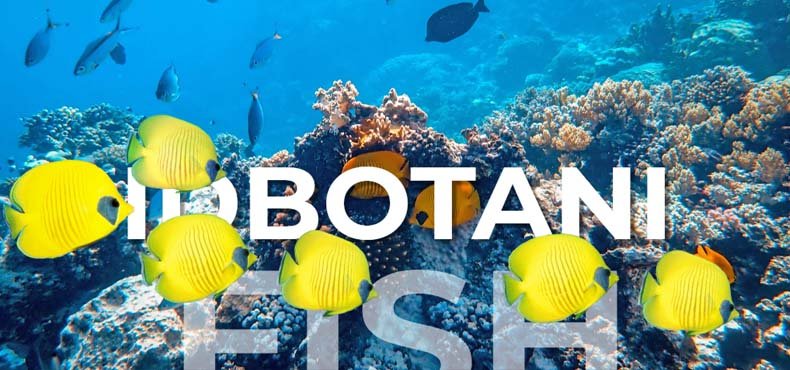 idbotani-slide-2.jpg