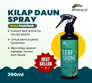 Leaf Shine Kilap Daun Organik Spray 250ml 